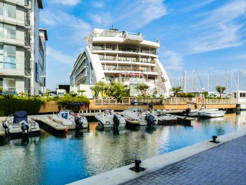 From Malaga: Day trip to Gibraltar and Dolphin Boat Tour - What Dolphins Feel Like in the Wild (Not a Zoo Show)