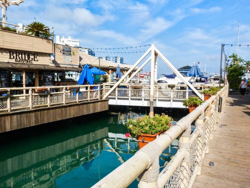 From Malaga: Day trip to Gibraltar and Dolphin Boat Tour - Lunch and Free Time After the Boat: Make It Count