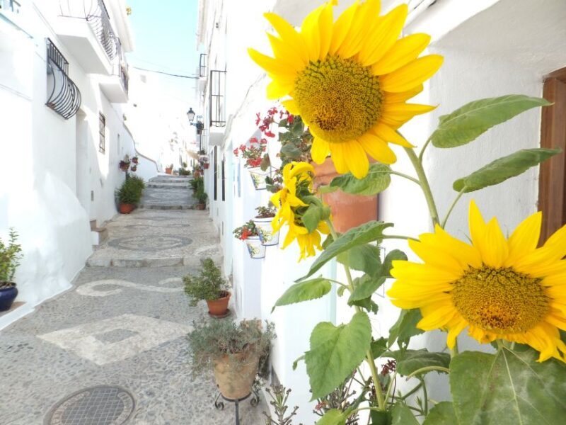 From Málaga: Frigiliana Hiking Tour with Wine & Appetizers - Key Points