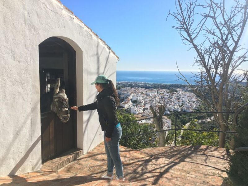 From Málaga: Frigiliana Hiking Tour with Wine & Appetizers - An In-Depth Look at the Tour