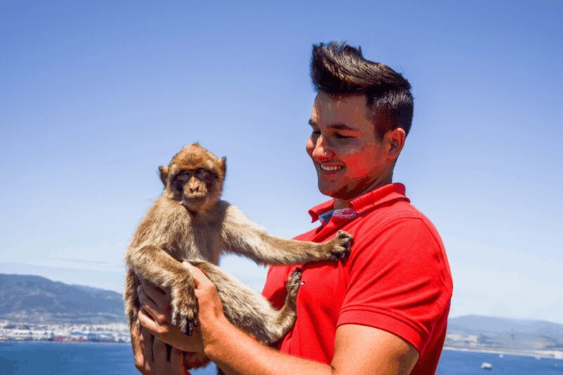 From Malaga: Full-Day Trip to Gibraltar - The Value Proposition