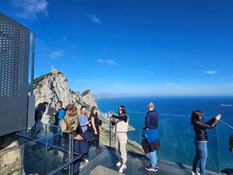 From Malaga: Gibraltar and Tangier Private Day Trip - FAQ