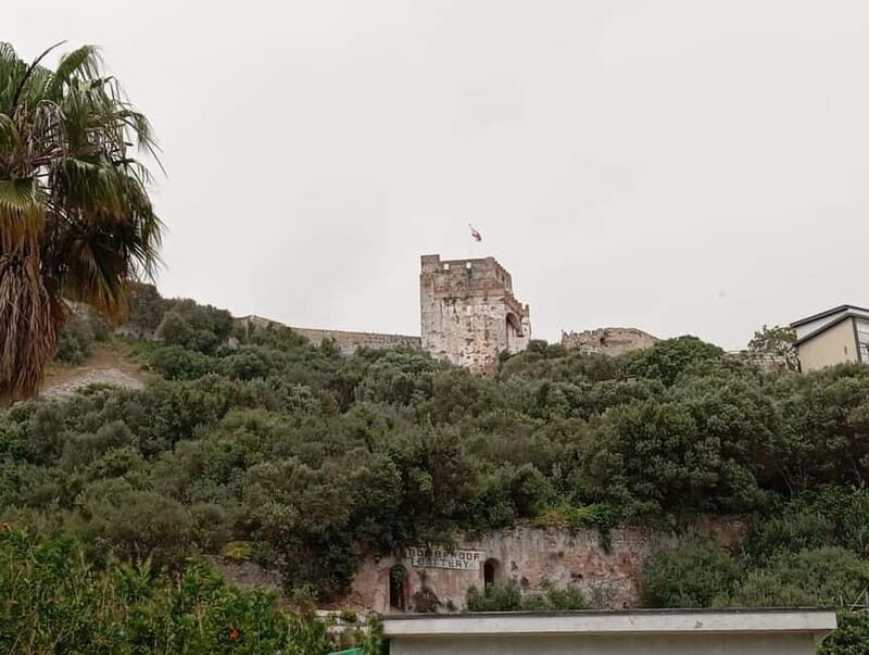 From Málaga: Gibraltar Day Trip - Final Thoughts