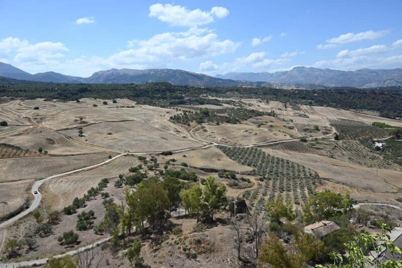 From Malaga: Ronda y Setenil de la Bodegas Day Trip by coach - Practical Details