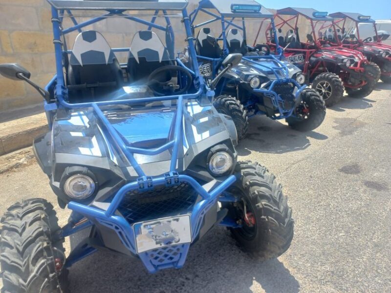 From Malta: Full-Day Gozo Buggy Tour with Lunch & Boat Ride - The Experience for Different Travelers