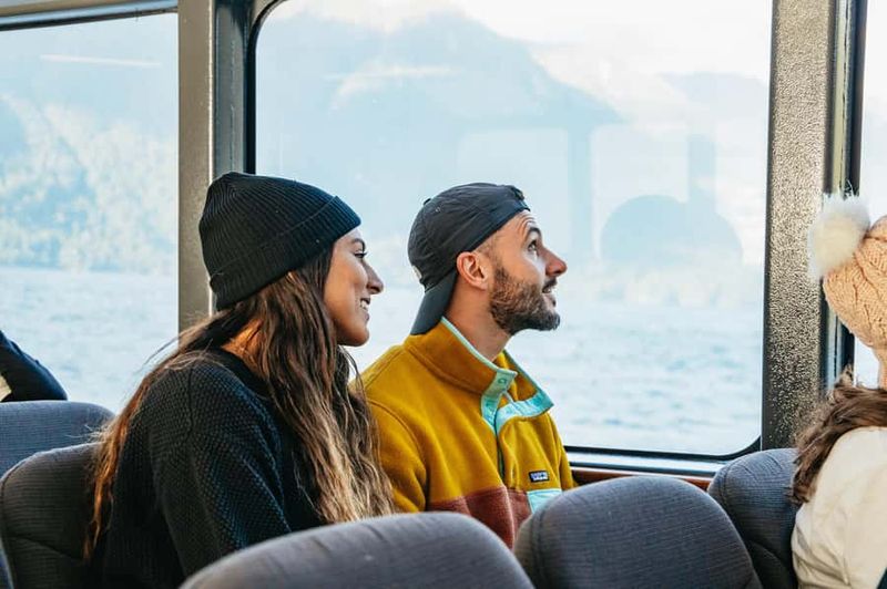 From Manapouri: Doubtful Sound Wilderness Day Trip - Weather Reality Check: Cool, Wet, and Still Totally Worth It