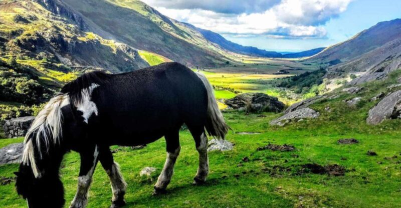 From Manchester: North Wales Sightseeing Adventure Day Trip - FAQ