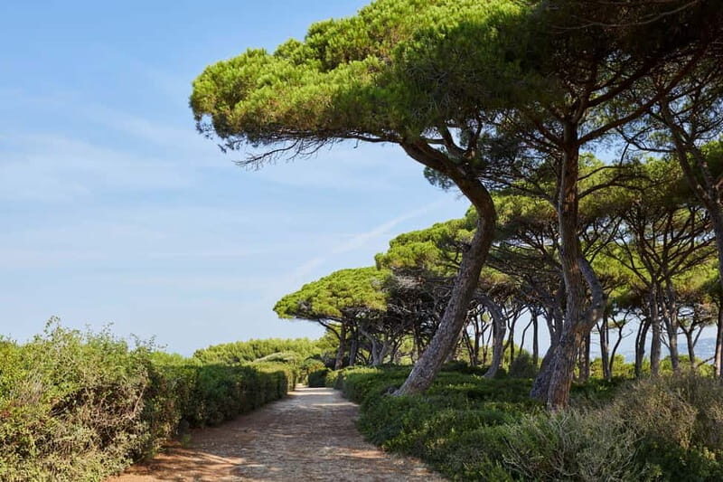 From Mandelieu: St. Marguerite Island Roundtrip Ferry Ride - What Reviewers Say