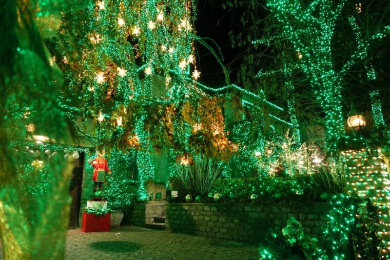 From Manhattan: 4-Hour Christmas Lights Luxury Bus Tour - The Sum Up