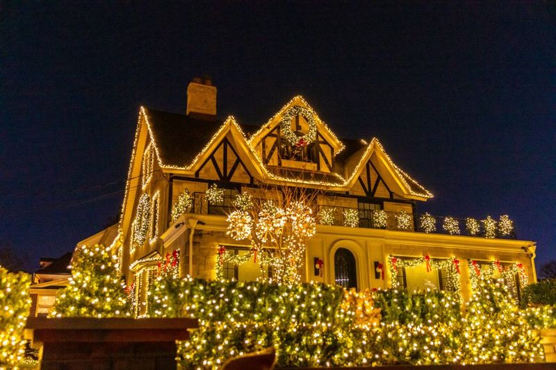 From Manhattan: 4-Hour Dyker Heights Holiday Lights Bus Tour - The Bus Ride: Comfortable Transport Plus Live City Commentary