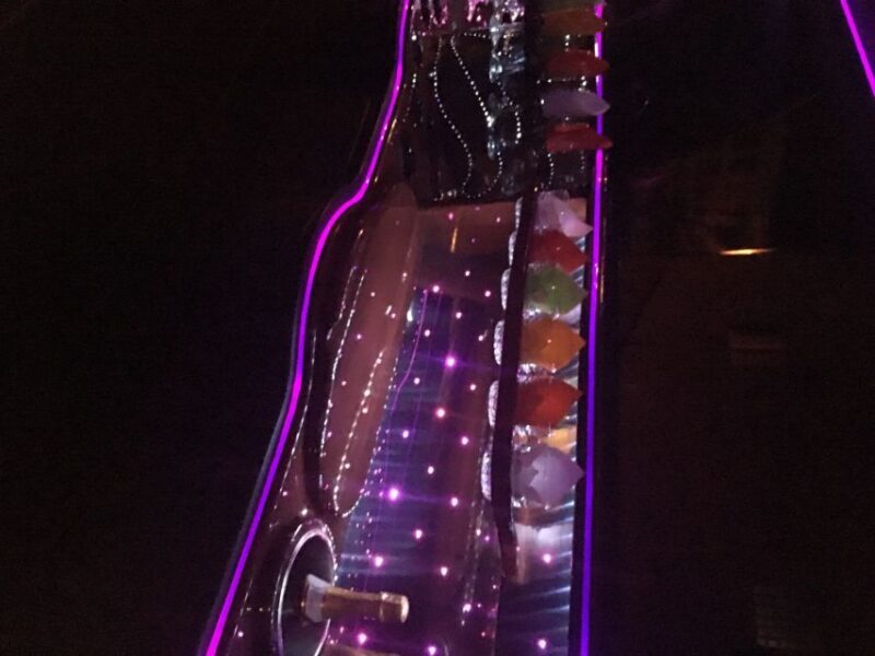 From Manhattan: Private Brooklyn Christmas Tour by Limousine - Practical Tips for Booking and Enjoying