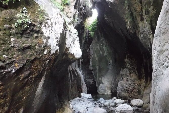 From Marbella: Canyoning Tour in Guadalmina Canyon - The Sum Up