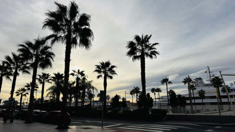 From Marbella: Malaga City Tour VIP Tesla X 360° Cinematic - Key Points