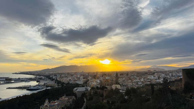 From Marbella: Malaga City Tour VIP Tesla X 360° Cinematic - The Optional Designer Outlet Stop