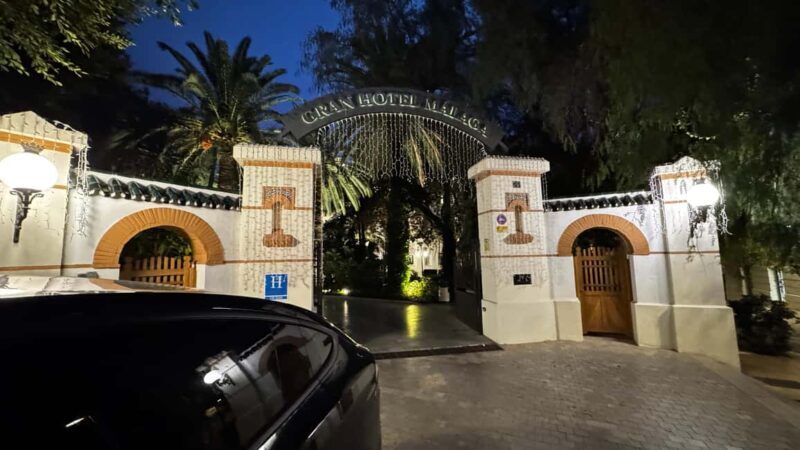 From Marbella: Malaga City Tour VIP Tesla X 360° Cinematic - The Sum Up