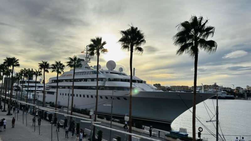 From Marbella: Malaga City Tour VIP Tesla X 360° Cinematic - FAQ