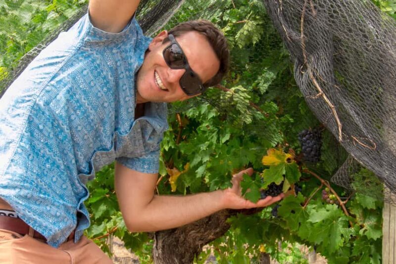 From Margaret River: Margaret River Wine Adventure - Who Is This Tour Best For?