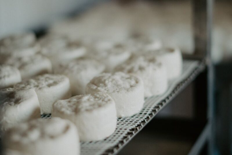 From Marseille: Aix en Provence Wine and Cheese Tour - Final Thoughts