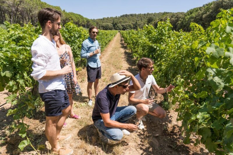 From Marseille: Bandol & Cassis Full-day Wine tour - From Marseille: Bandol & Cassis Full-day Wine Tour – A Thoughtful Look