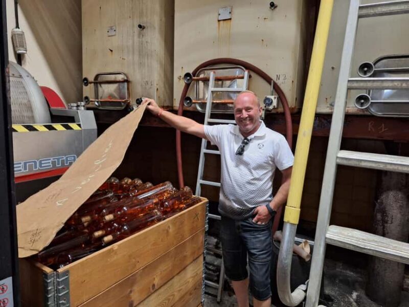 From Marseille: Bandol/Cassis Wine Tour with Viewpoint - The Overall Value and Cost