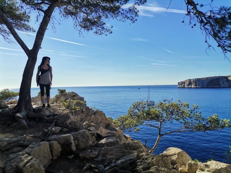 From Marseille: Calanques National Park Guided Hike - An Overview of the Calanques Guided Hike