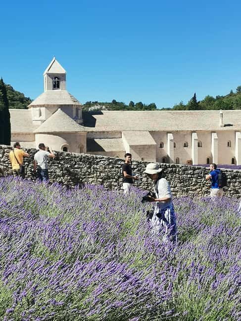 From Marseille: Customizable Private Day Tour of Provence - Why Consider This Tour?