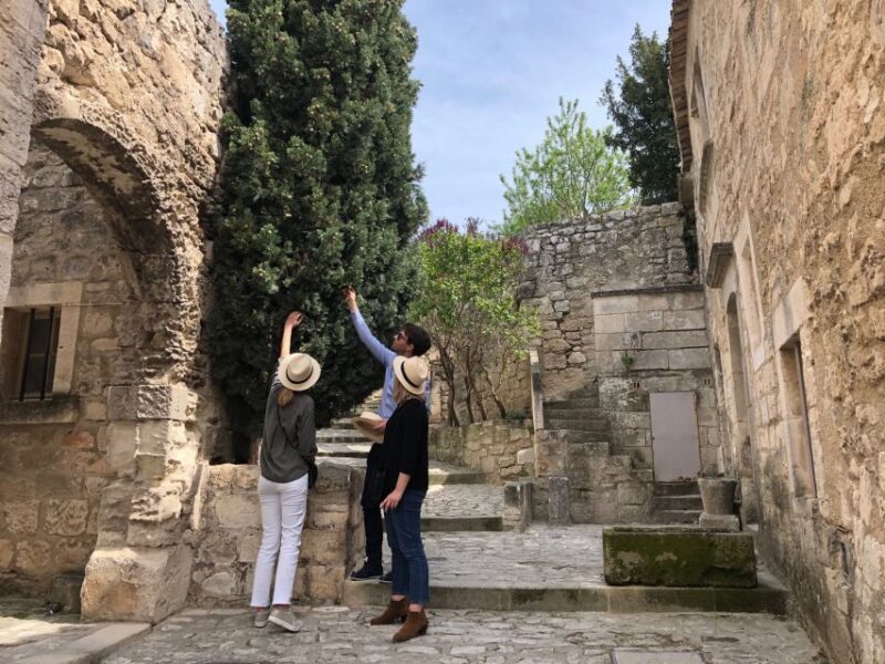 From Marseille: Provence Sightseeing Tour and Wine Tasting - Exploring the Highlights of Provence