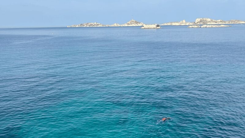 From Marseille to Cassis: a journey to the heart of the calanques and traditions. - How it compares to similar experiences