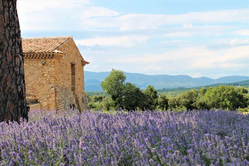 From Marseille: Wine and Scenery around Aix-en-Provence - What to Expect from Start to Finish