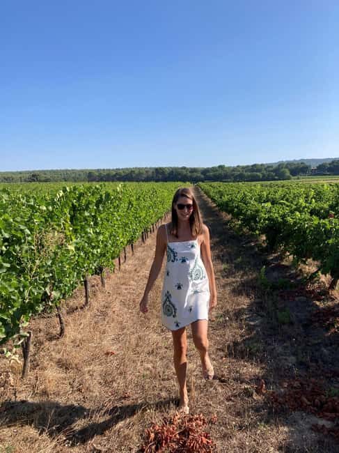 From Marseille: Wine and Scenery around Aix-en-Provence - Who Should Consider This Tour?