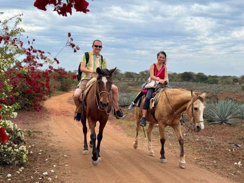 From Mazatlan: ATV & Horse Back riding with Tequila Tasting - What’s Included and How It All Works