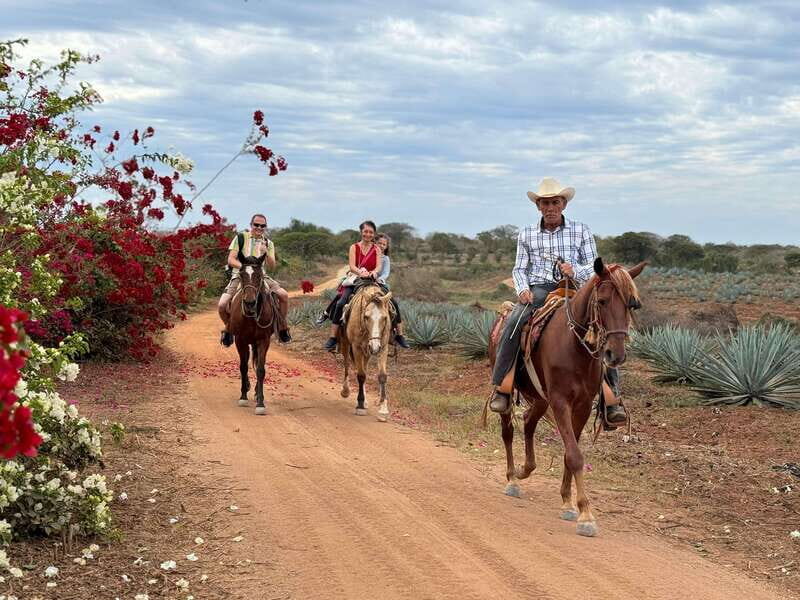 From Mazatlan: ATV & Horse Back riding with Tequila Tasting - The Experience in Detail