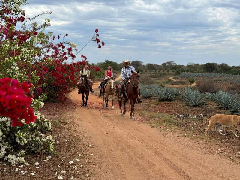 From Mazatlan: ATV & Horse Back riding with Tequila Tasting - Final Thoughts