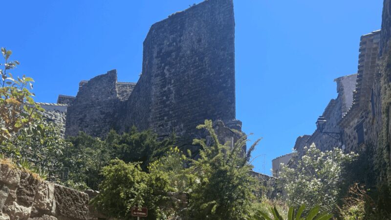 From medieval Evenos to Bandol wines : a taste of Provence - Who Will Love This Tour?