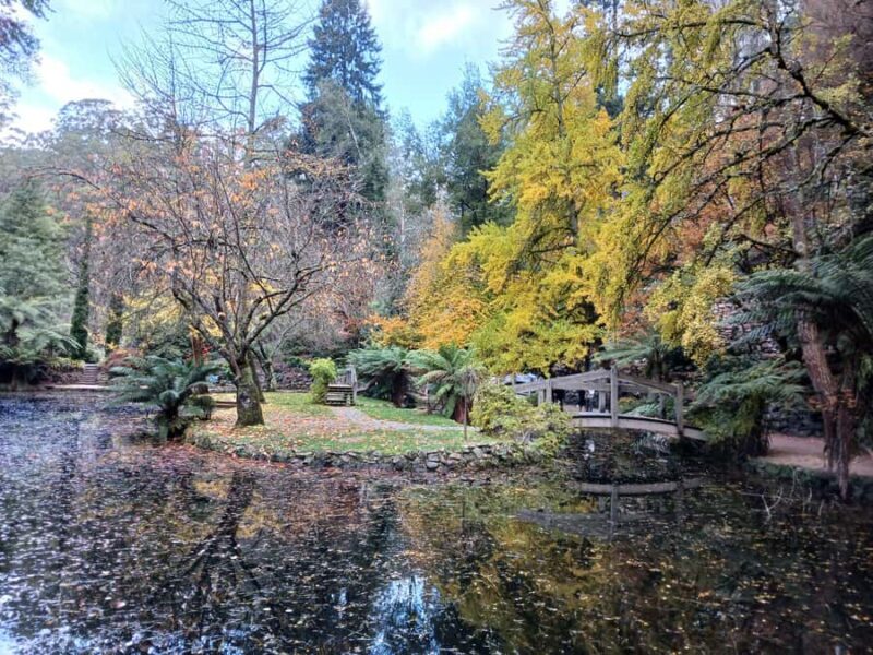 From Melbourne: Dandenong Ranges Private Day Tour - The Gardens: Alfred Nicholas and Australian Botanic Gardens