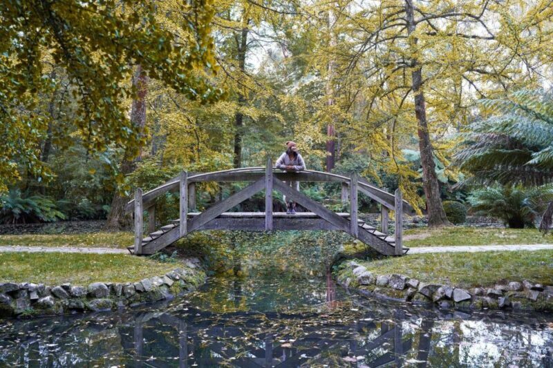 From Melbourne: Dandenong Ranges Private Day Tour - Is This Tour Worth It?