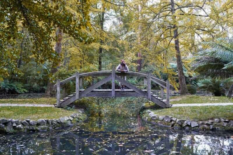 From Melbourne: Dandenong Ranges Private Day Tour - Who Is This Tour Best For?