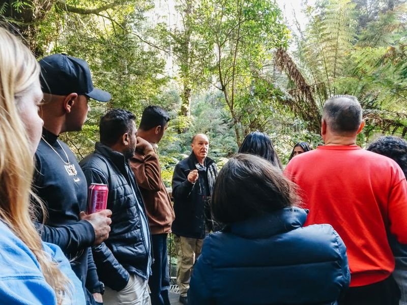 From Melbourne: Great Ocean Road, 12 Apostles, Wildlife Tour - Loch Ard Gorge: jagged sea cliffs and the Island Archway stacks