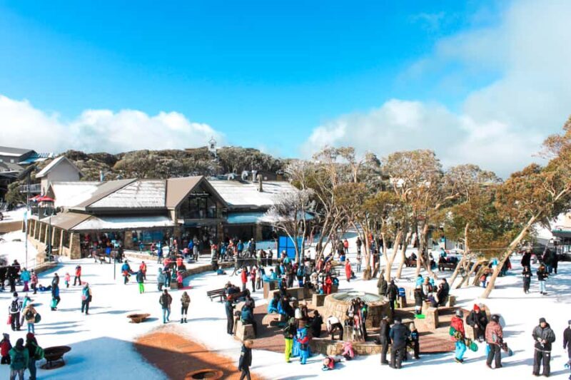 From Melbourne: Mount Buller Guided Day Tour - Key Points