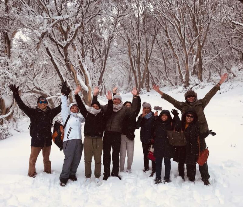 From Melbourne: Mt Buller Snow Day Small Group Boutique Tour - The Real Benefits and Considerations