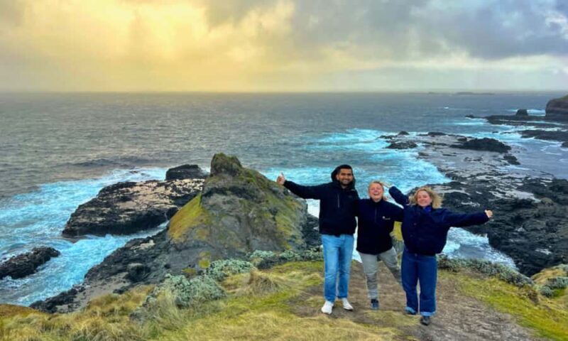 From Melbourne: Penguin Parade Afternoon Tour - Potential Drawbacks