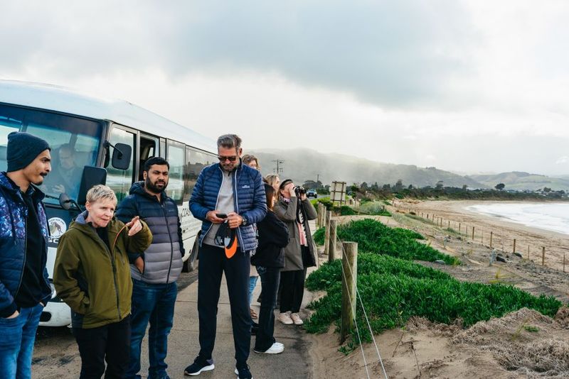From Melbourne: Penguin Parade, Koalas & Kangaroos - Nobbies Boardwalk Walk: Coastal Views With Real Salt-Air Energy