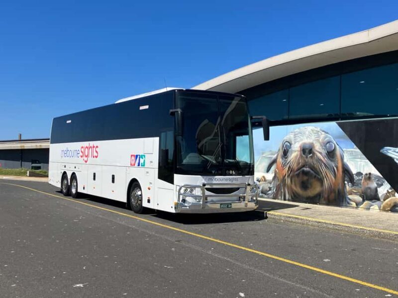 From Melbourne: Phillip Is Penguin Parade & Koala Reserve - The Sum Up