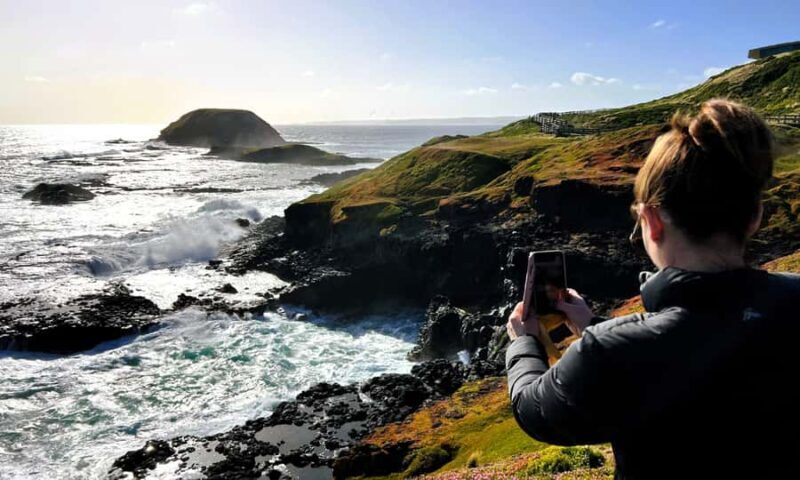 From Melbourne: Phillip Island Penguin Parade Eco Tour - FAQ