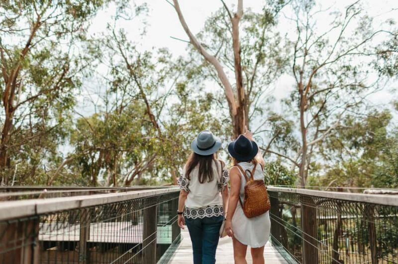 From Melbourne: Phillip Island Penguin Parade & Koalas Tour - Final Thoughts