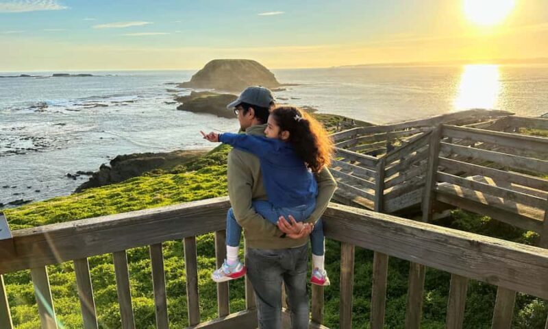 From Melbourne: Puffing Billy & Penguins Combo Tour Package - Who Is This Tour Best For?