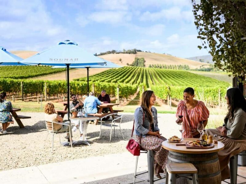 From Melbourne: Redwoods Forest & Yarra Valley Wine Tour - Key Points