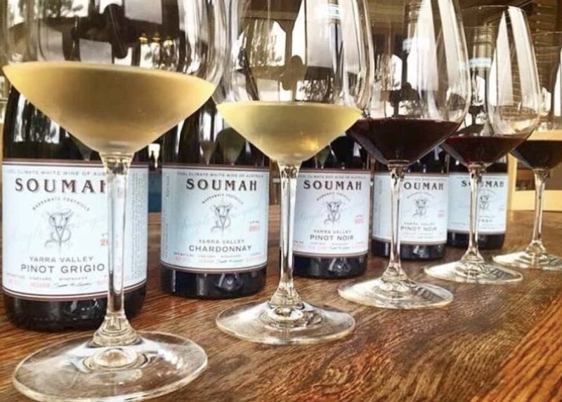 From Melbourne: Redwoods Forest & Yarra Valley Wine Tour - Who Is This Tour Best For?