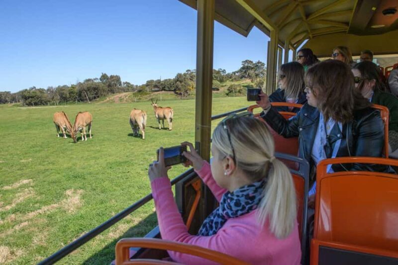 From Melbourne: Werribee Open Range Zoo & Werribee Mansion - The Actual Experience—What Travelers Say