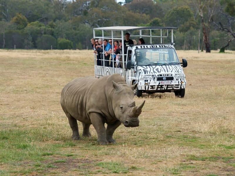 From Melbourne: Werribee Open Range Zoo & Werribee Mansion - Final Thoughts
